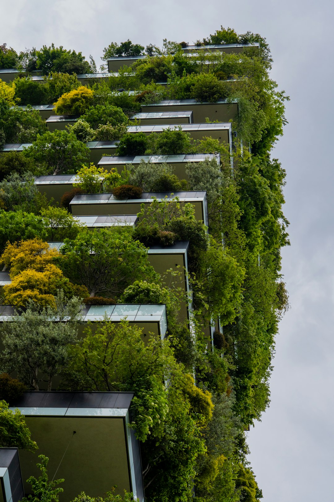 Eco-Friendly Family Home