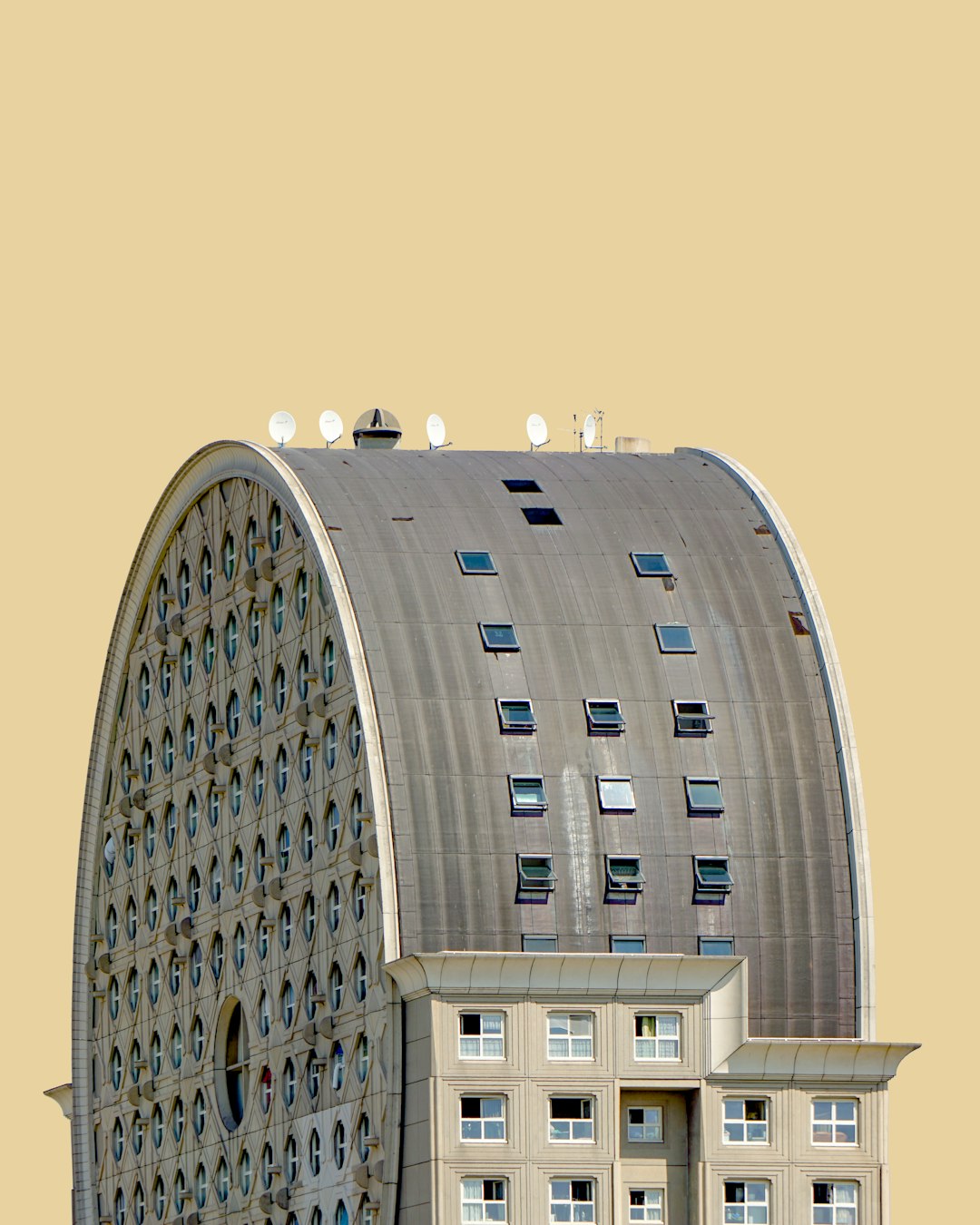 Design Director